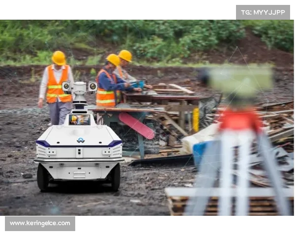 智能安防机器人投入实战,增强场馆周边巡逻效能