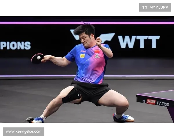 樊振东技术输出带动德甲整体水平提升，欧洲青训体系开始系统研究其反手拧拉技术